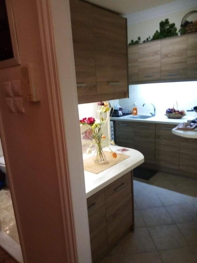 Sylvia' S Apartments Афины Экстерьер фото